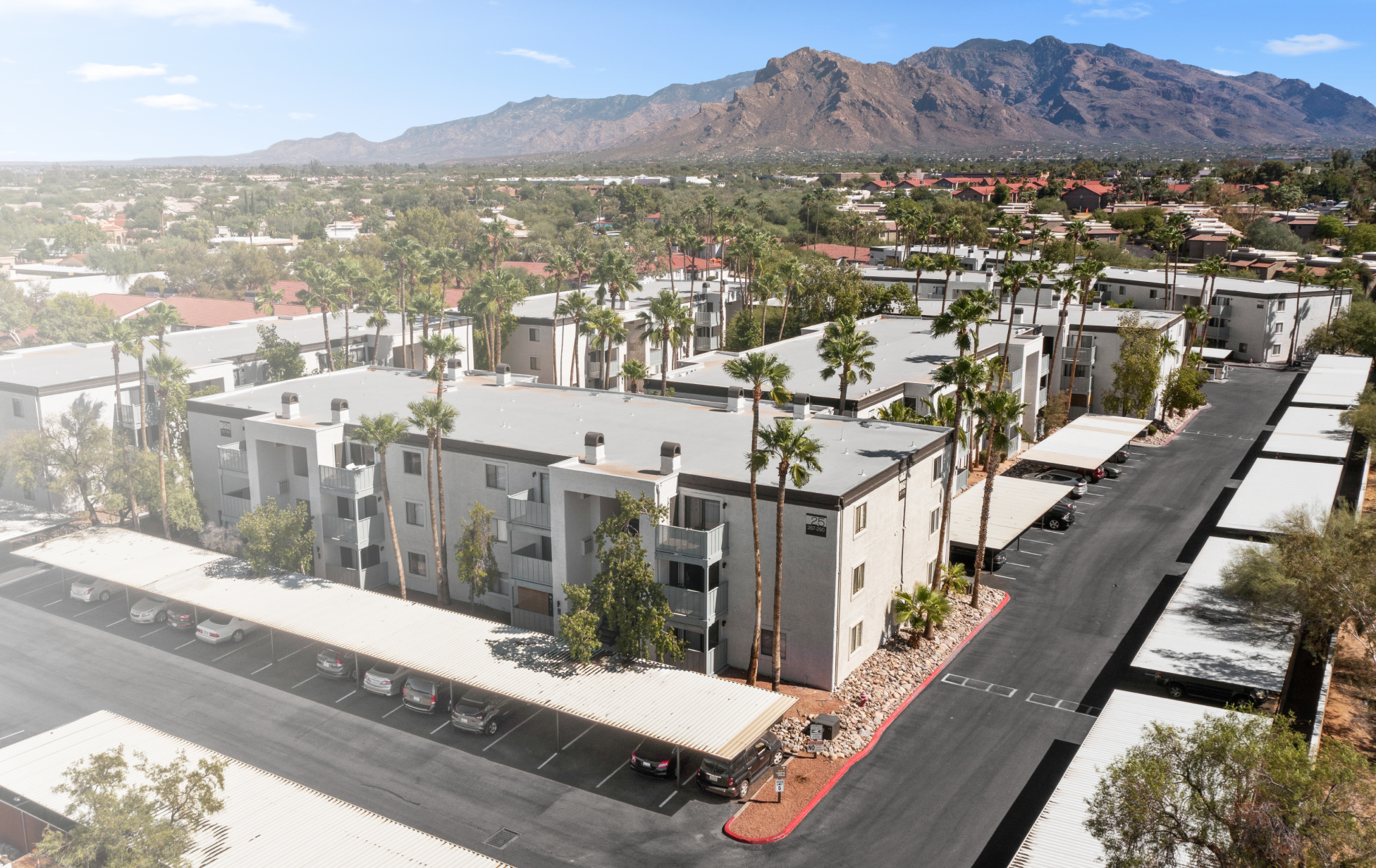 Photo of the exterior of an apartment complex in the southwest, with palm trees and a mountain in the background.