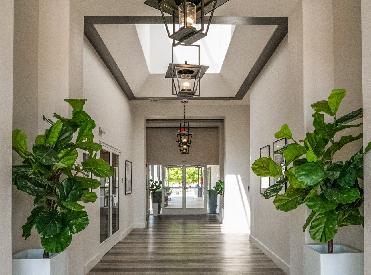 Looking down the main hallway of an apartment building with pendant lights hanging from the ceilling and plants lining the walls.